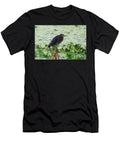 Green Heron Clutching a Reed Carol Vandenbelt T-Shirt