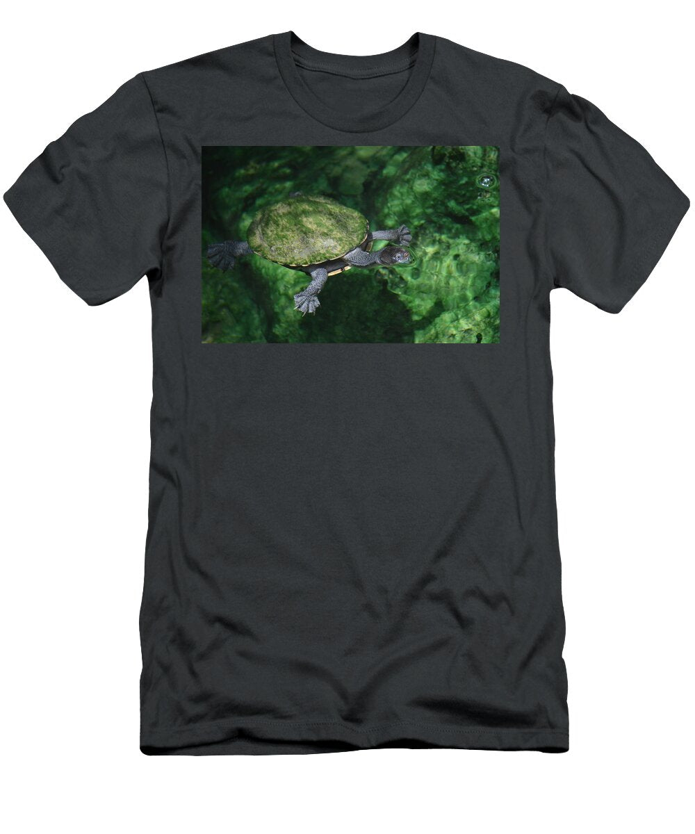 Green Turtle Cara Siera T-Shirt