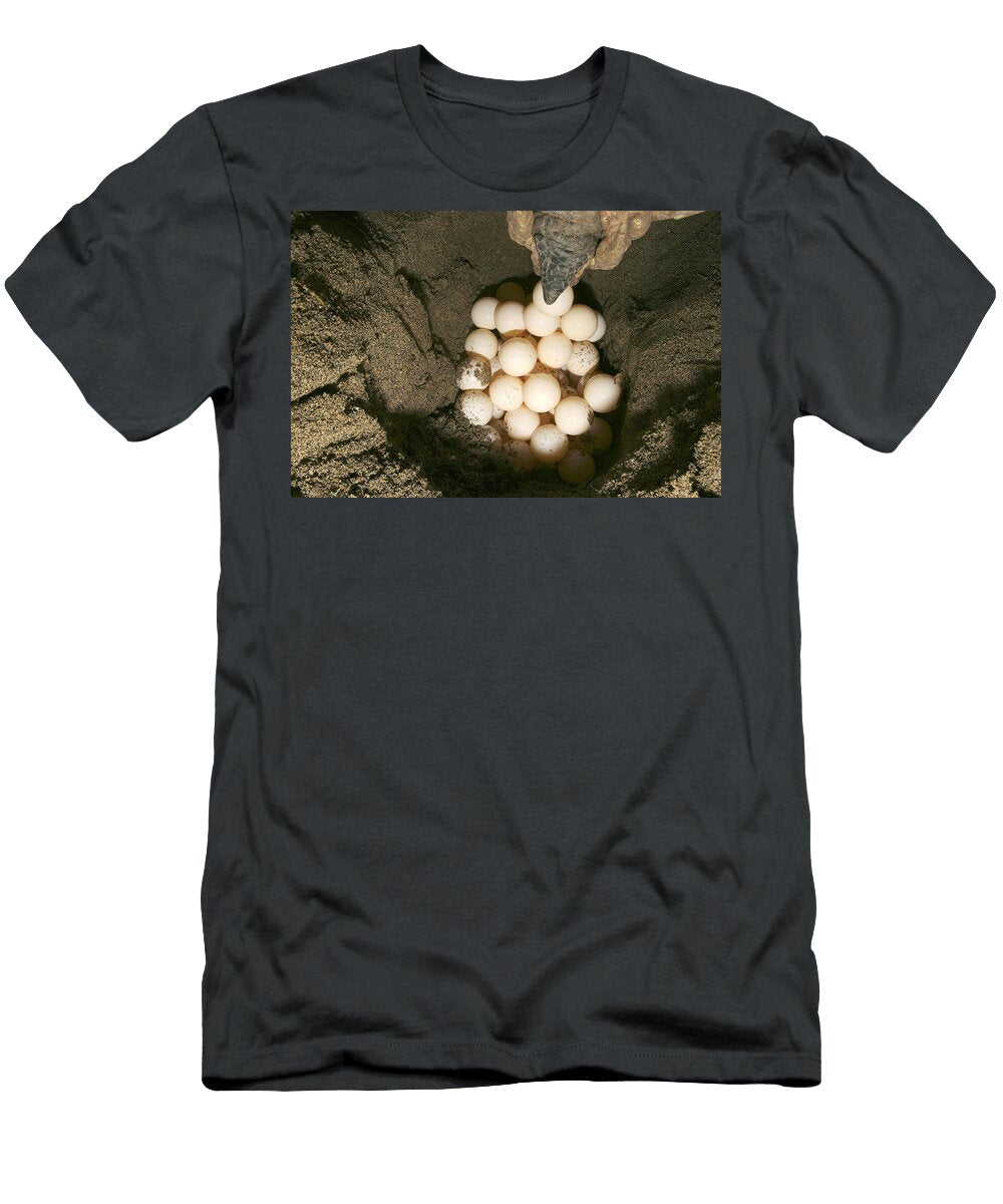 Green Turtle Laying Eggs M Watson T-Shirt