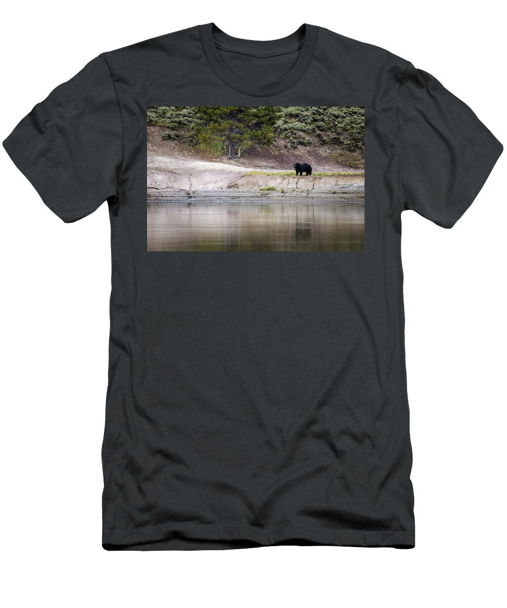 Grizzly 791 Julie Argyle T-Shirt
