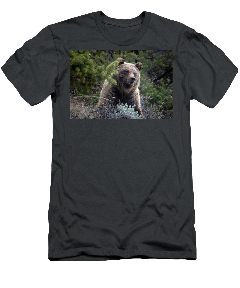 Grizzly Bear Julie Argyle T-Shirt