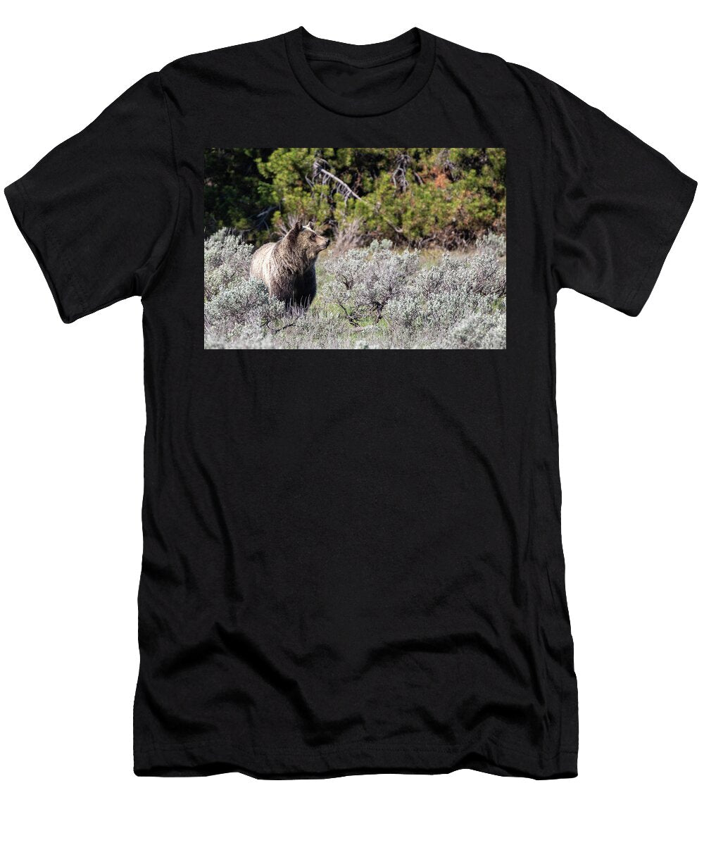 Grizzly Julie Argyle T-Shirt