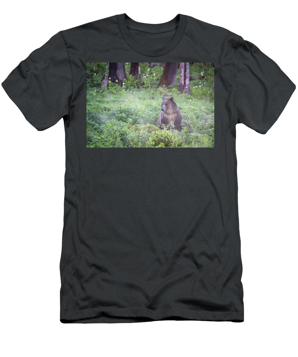 Grizzly Mist Julie Argyle T-Shirt