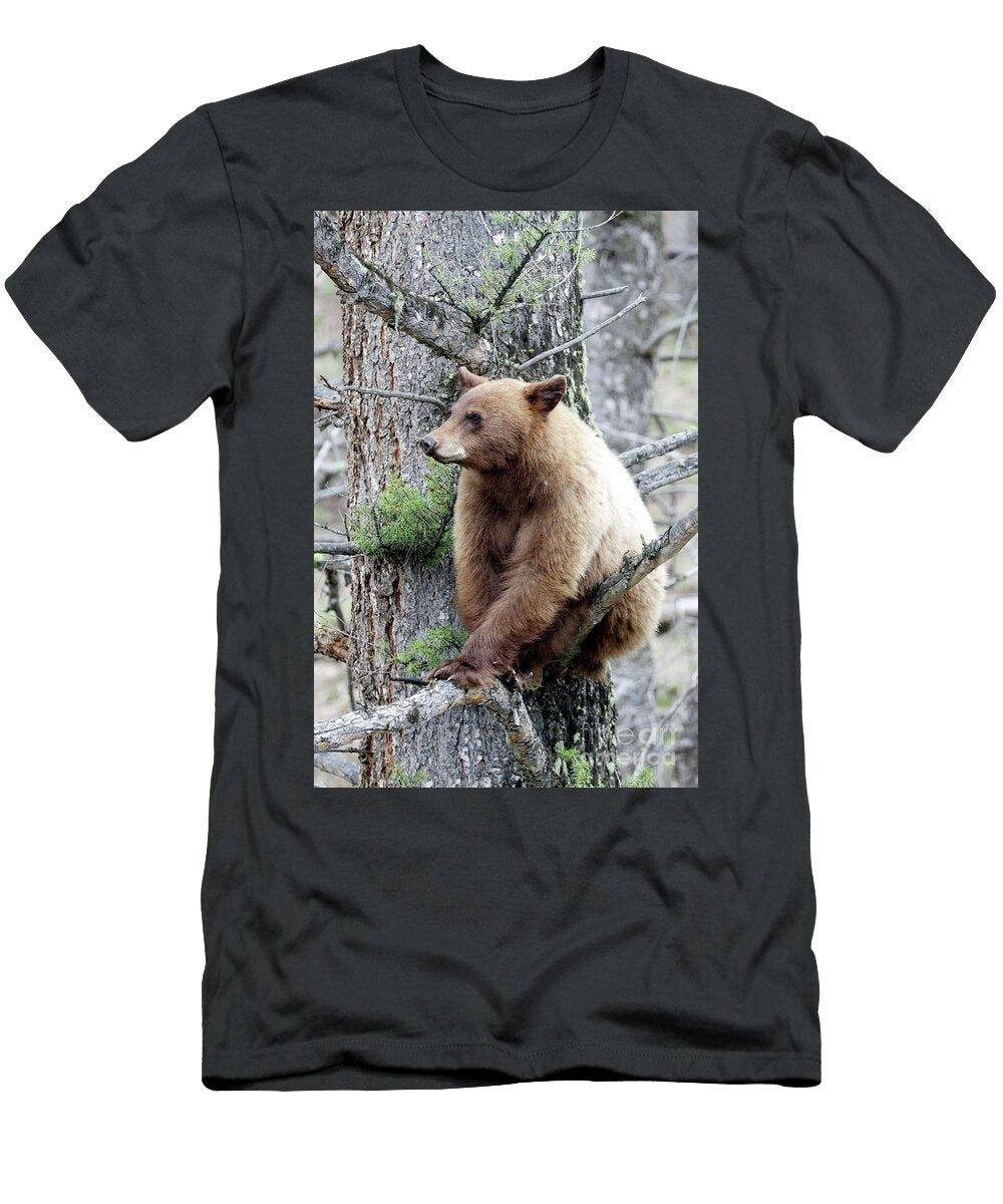 Hangin Out Julie Argyle T-Shirt