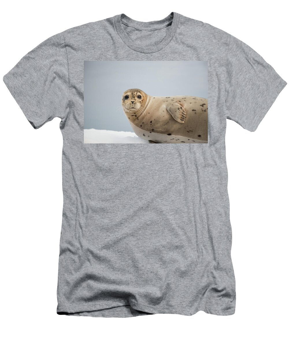 Harbor Seal David Kirby T-Shirt