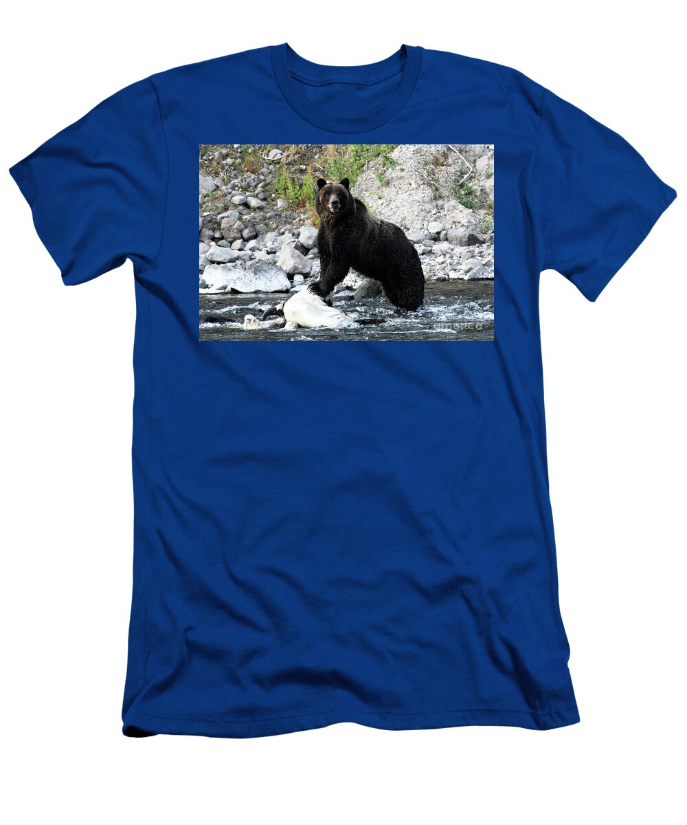 Harley Julie Argyle T-Shirt