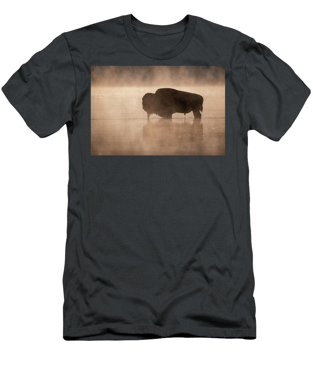 Hayden Julie Argyle T-Shirt