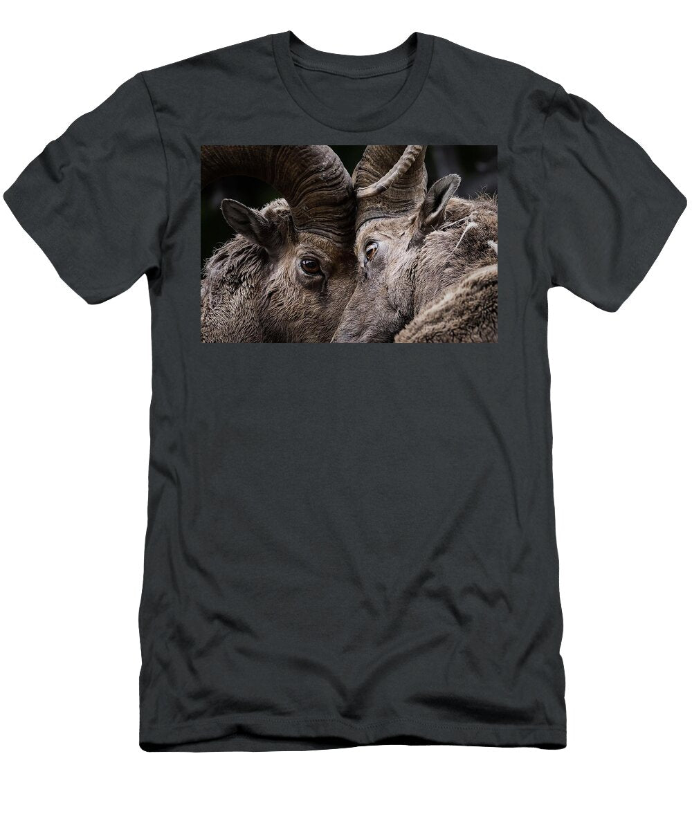 Head to Head Julie Argyle T-Shirt