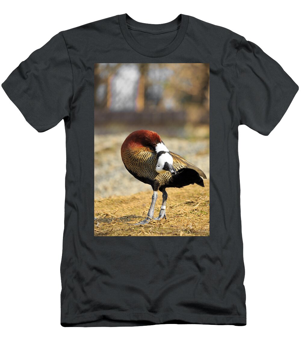 Hello World Travis Rogers T-Shirt