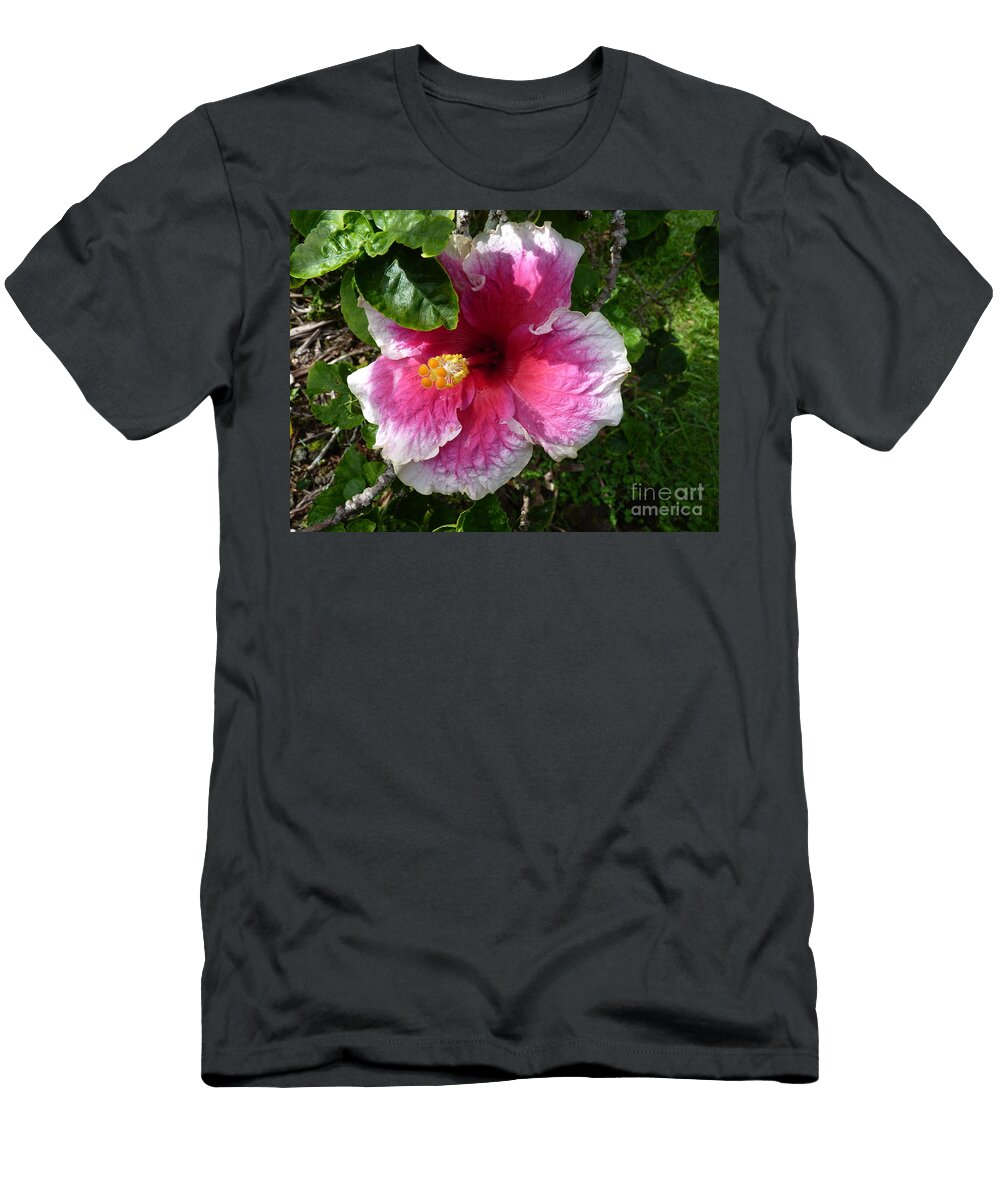 Hibiscus Delight Cat Pancake T-Shirt