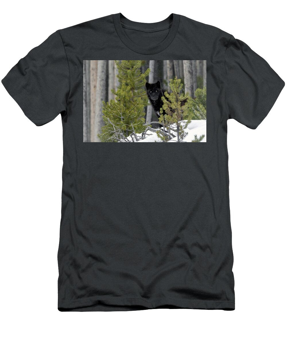 Hidden Julie Argyle T-Shirt
