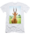 High Shouldered and a Somewhat Awkward Reynold Mainse T-Shirt