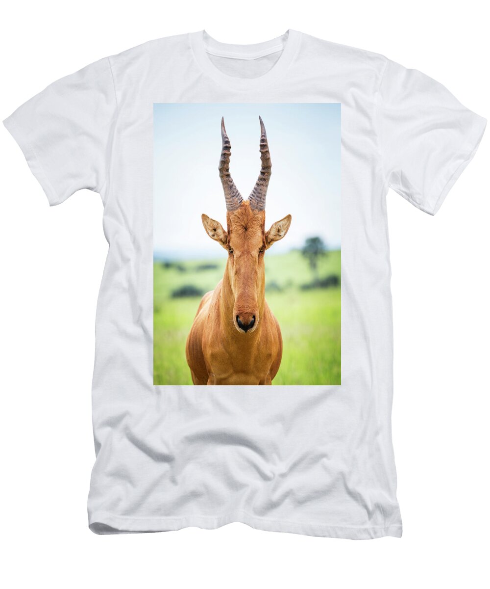 High Shouldered and a Somewhat Awkward Reynold Mainse T-Shirt
