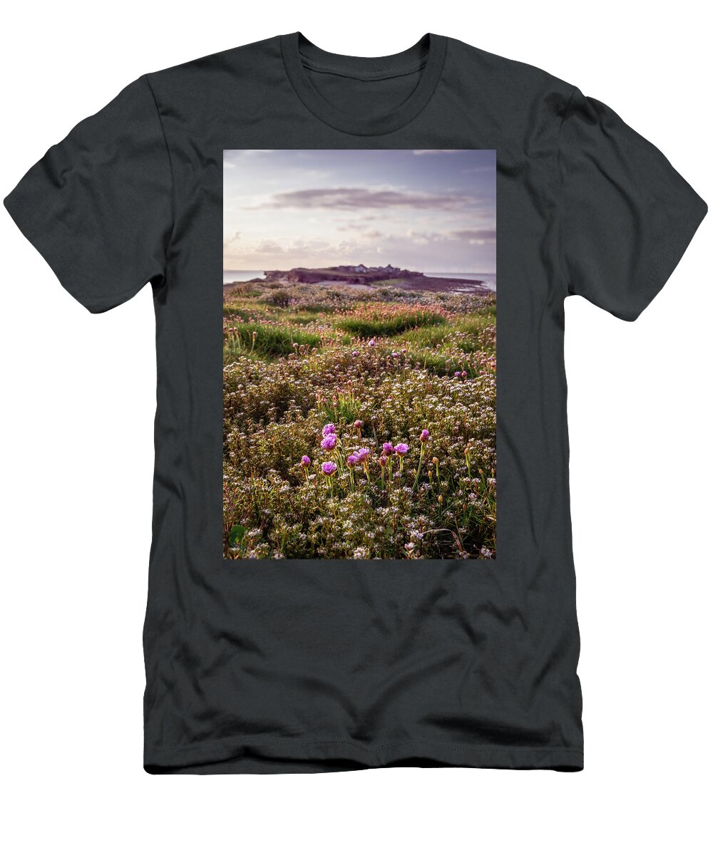 Hilbre Thrift Fields Neon Light Photography T-Shirt