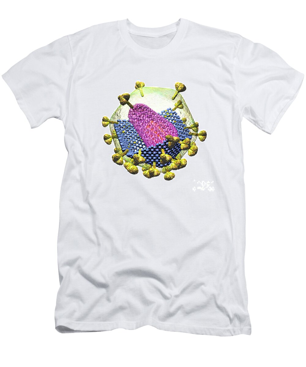 Hiv Structure on White Russell Kightley T-Shirt