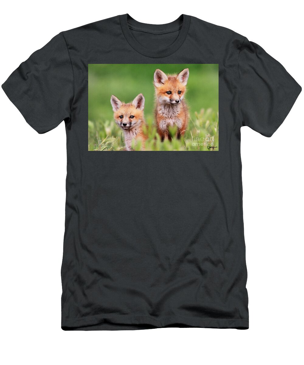 Hmmm Julie Argyle T-Shirt