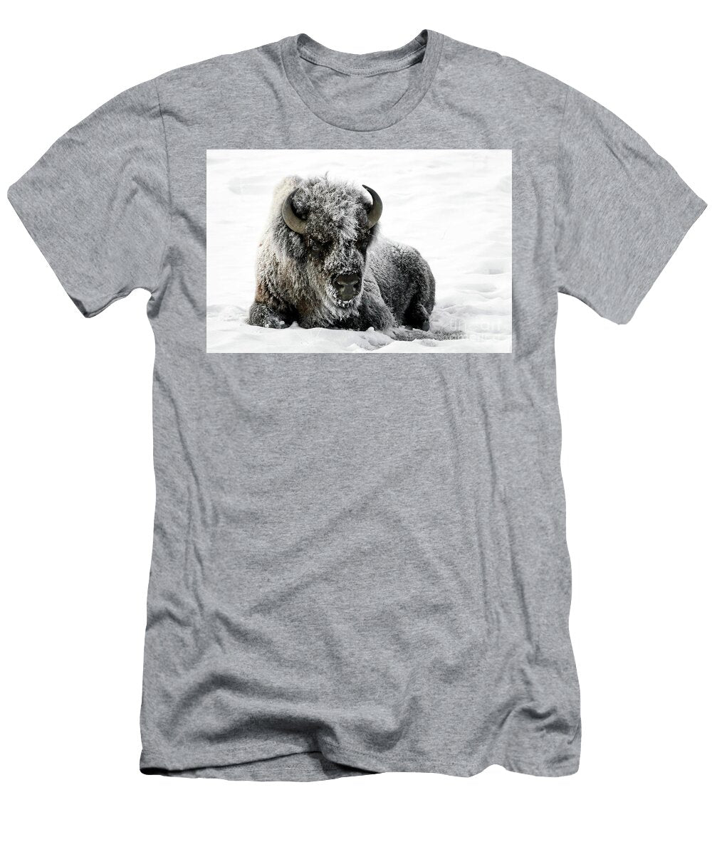Hoar Frost Bison Julie Argyle T-Shirt