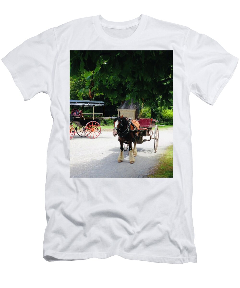Horse and Carriage Under Green Canopy LA Veta Kirby T-Shirt