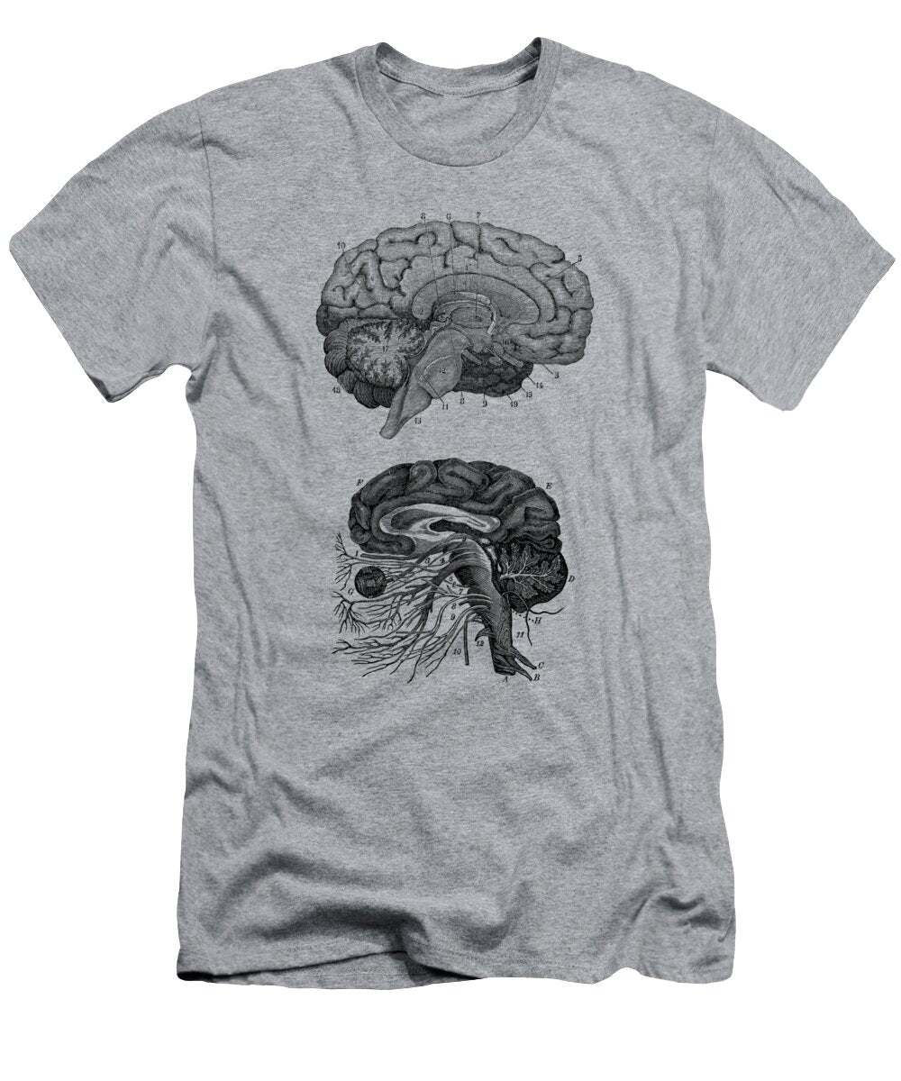 Human Brain Central Nervous System Vintage Anatomy Print Vintage Anatomy Prints T-Shirt