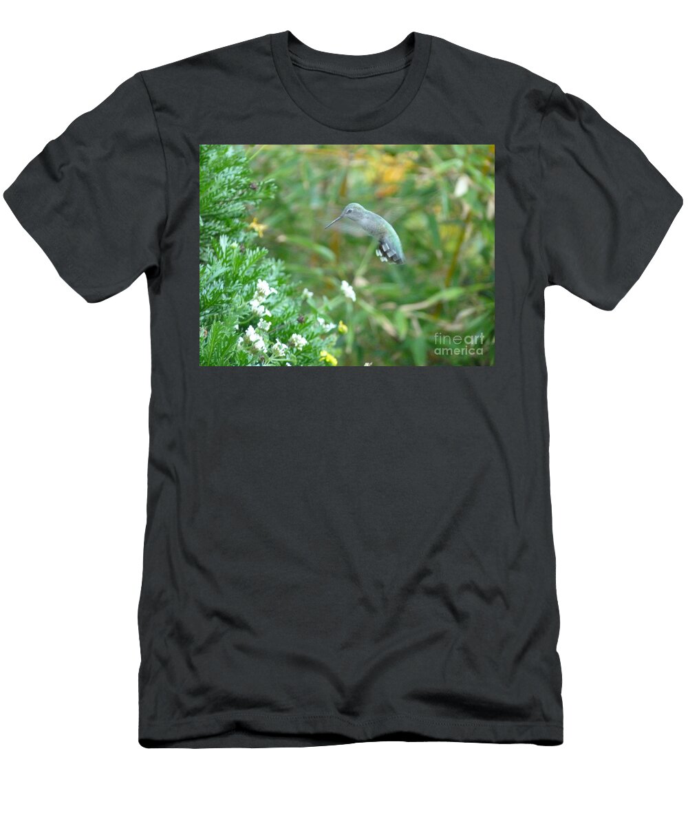 Humming Bird Cat Pancake T-Shirt