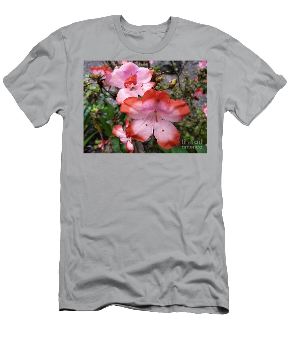 Humming Cat Pancake T-Shirt