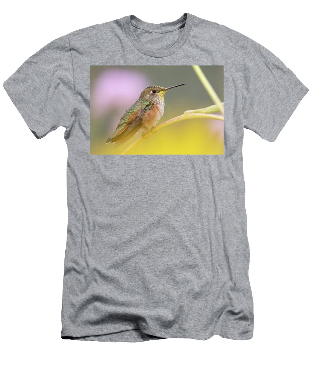 Hummingbird Ii Julie Argyle T-Shirt