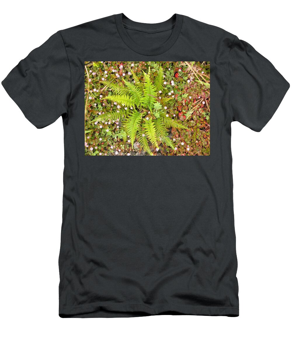I Do Cat Pancake T-Shirt