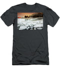 Ice Age Diana Angstadt T-Shirt