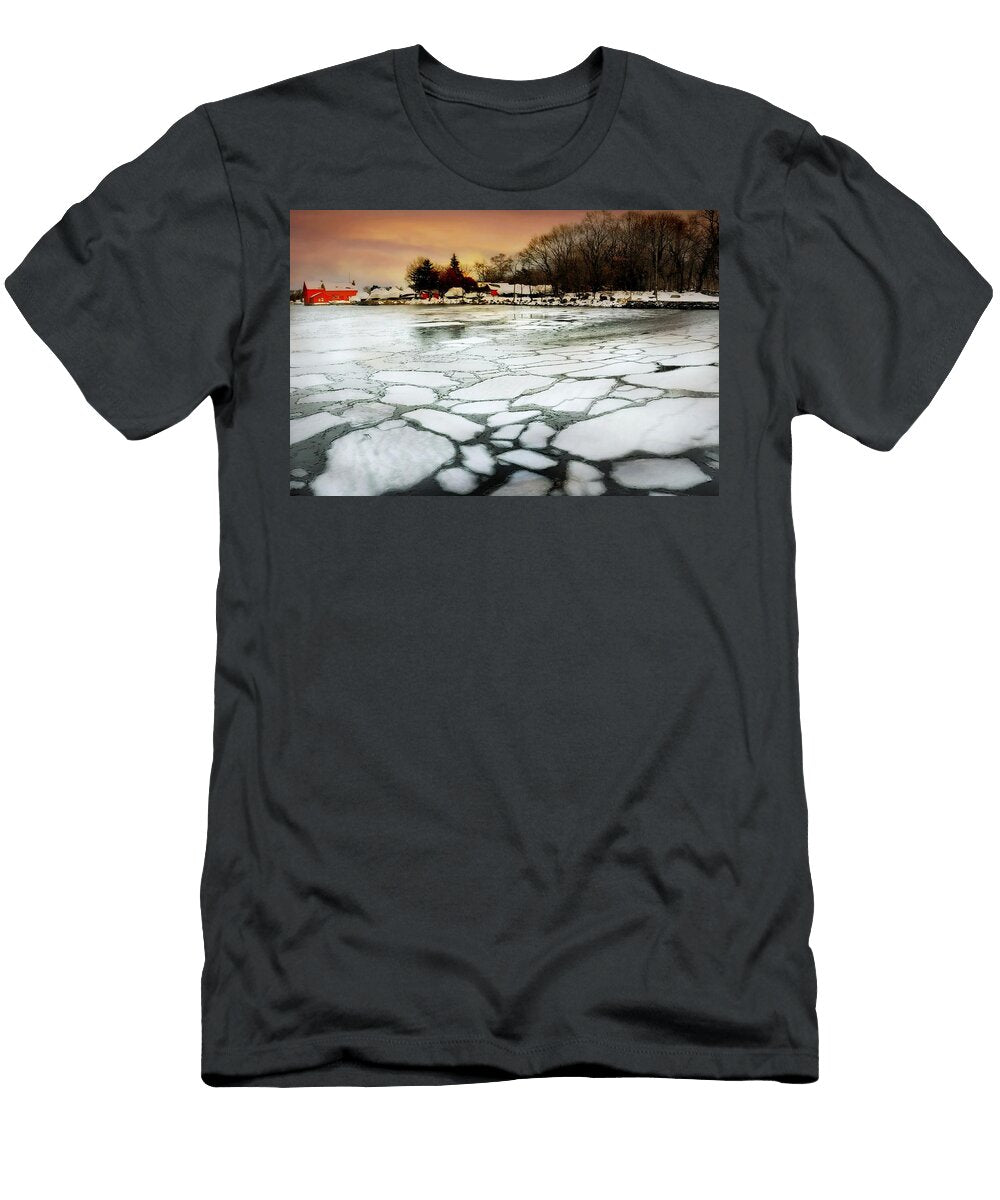 Ice Age Diana Angstadt T-Shirt