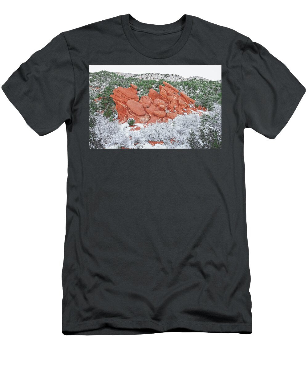 Id Like to Offer You Some Red Pancakes and Powdered Sugar Bring Your Own Maple Syrup and Butter Bijan Pirnia T-Shirt