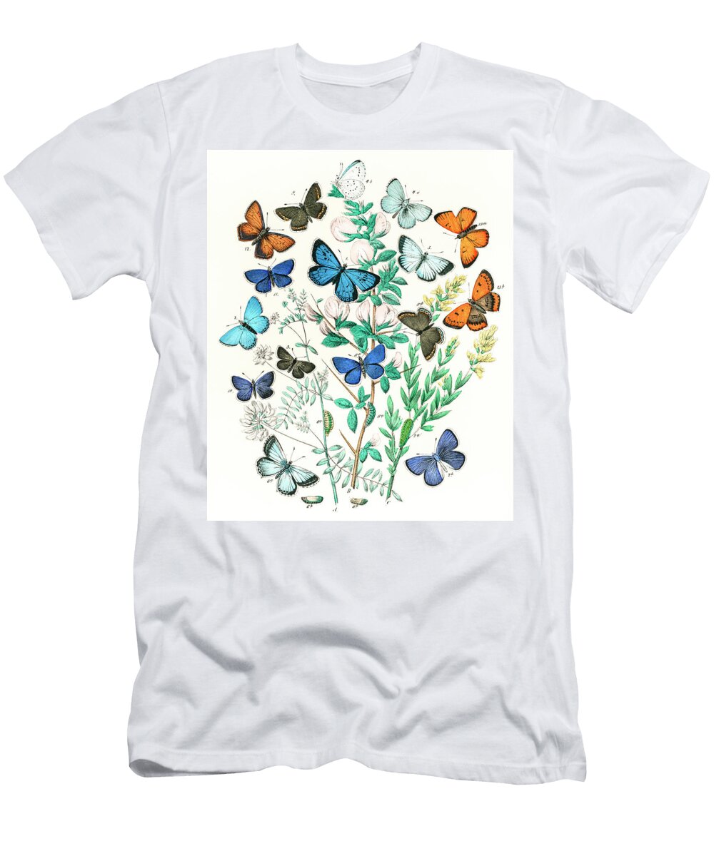 Illustrations From the Book European Butterflies and Moths By Wi William Forsell Kirby T-Shirt
