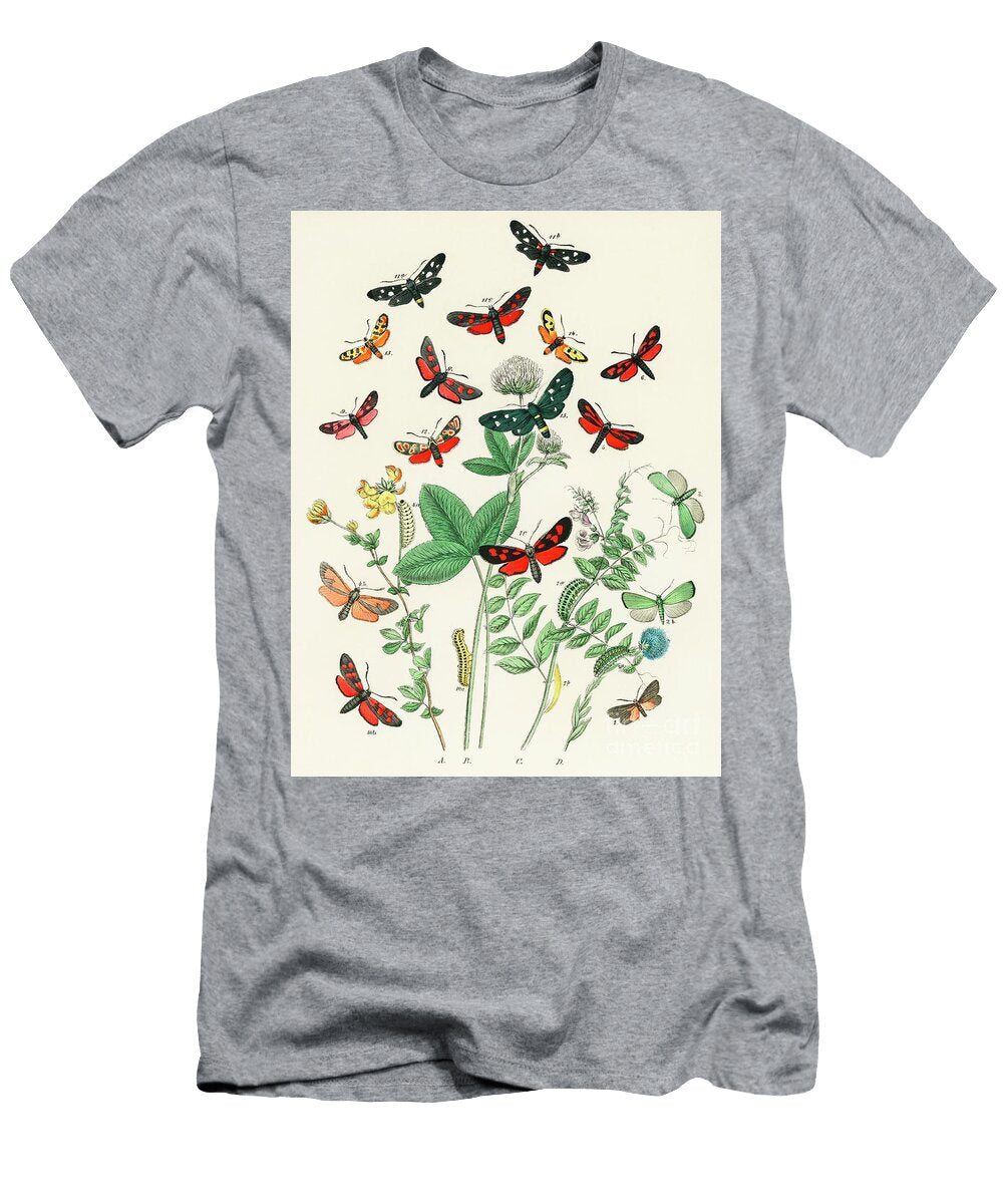 Illustrations From the Book European Butterflies and Moths By William Forsell Kirby 1882 a Kaleid William Forsell Kirby T-Shirt