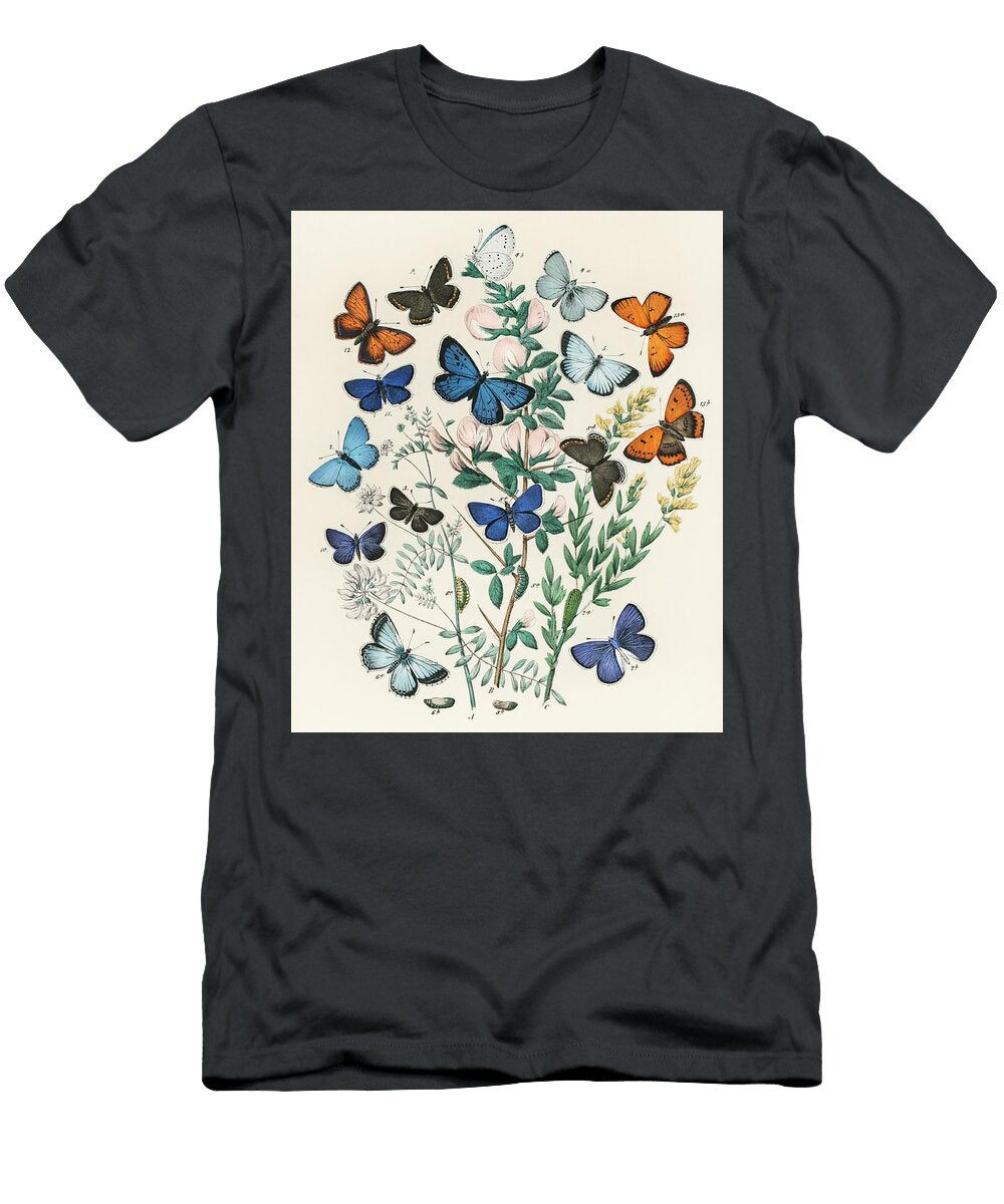 Illustrations From the Book European Butterflies and Moths By William Forsell Kirby 1882 a Kaleidos Les Classics T-Shirt