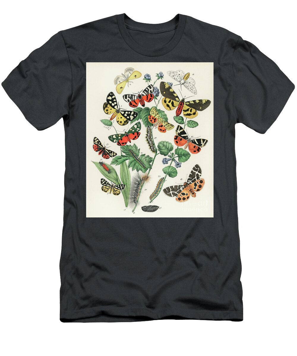 Illustrations From the Book European Butterflies and Moths By William Forsell Kirby 4 William Forsell Kirby T-Shirt