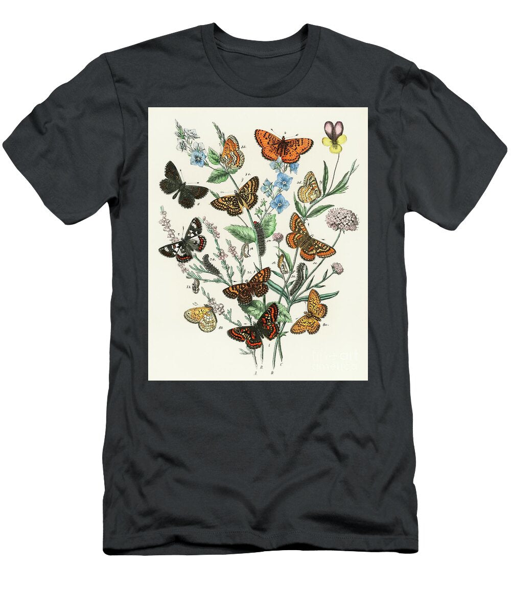 Illustrations From the Book European Butterflies and Moths By William Forsell Kirby William Forsell Kirby T-Shirt