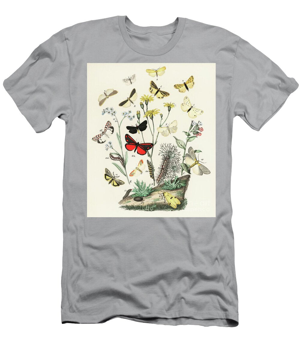 Illustrations From the Book European Butterflies and Moths By William Forsell Kirby Word Fandom T-Shirt