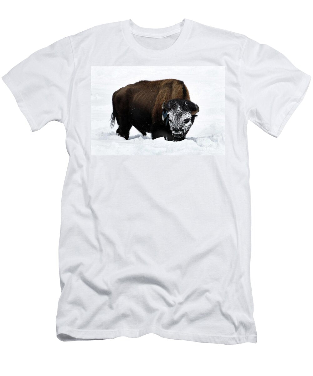Indian Headdress I Julie Argyle T-Shirt