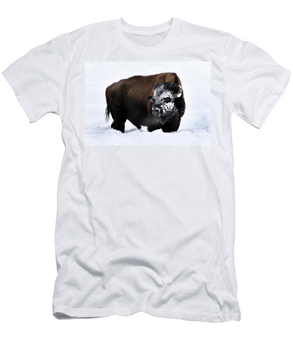 Indian Headdress Ii Julie Argyle T-Shirt