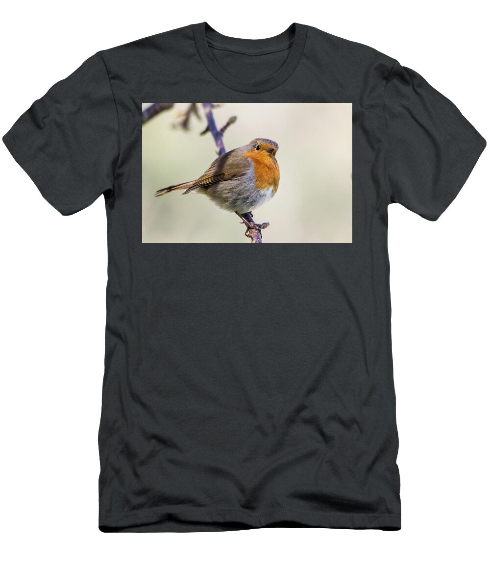 Inquisitive European Robin Jonathan Kirby T-Shirt
