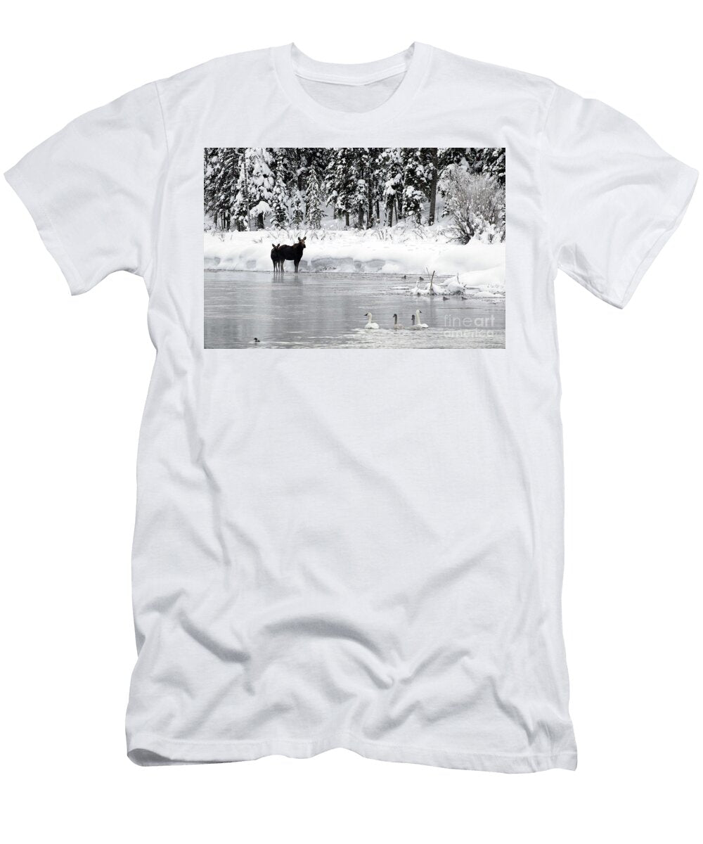 Island Park Moose Julie Argyle T-Shirt