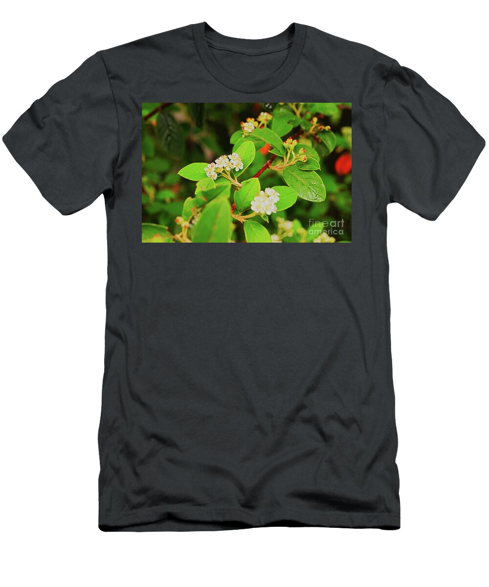 Jardin De Botanica Cassandra Buckley T-Shirt