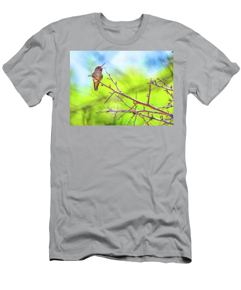 Juvenile Annas Hummingbird Waiting for Mom Linda Brody T-Shirt