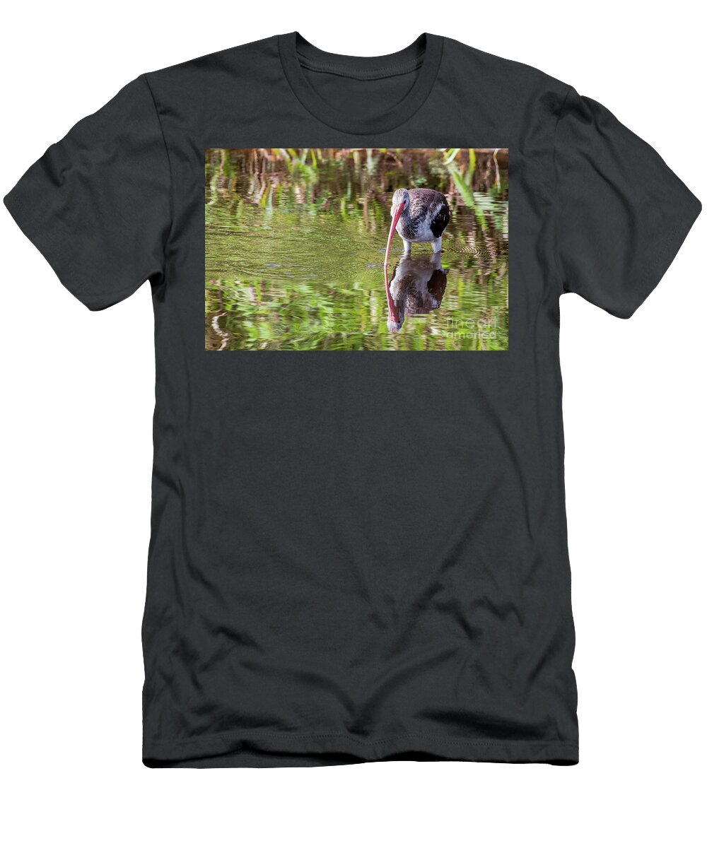 Juvenile White Ibis Reflection Jennifer Jenson T-Shirt