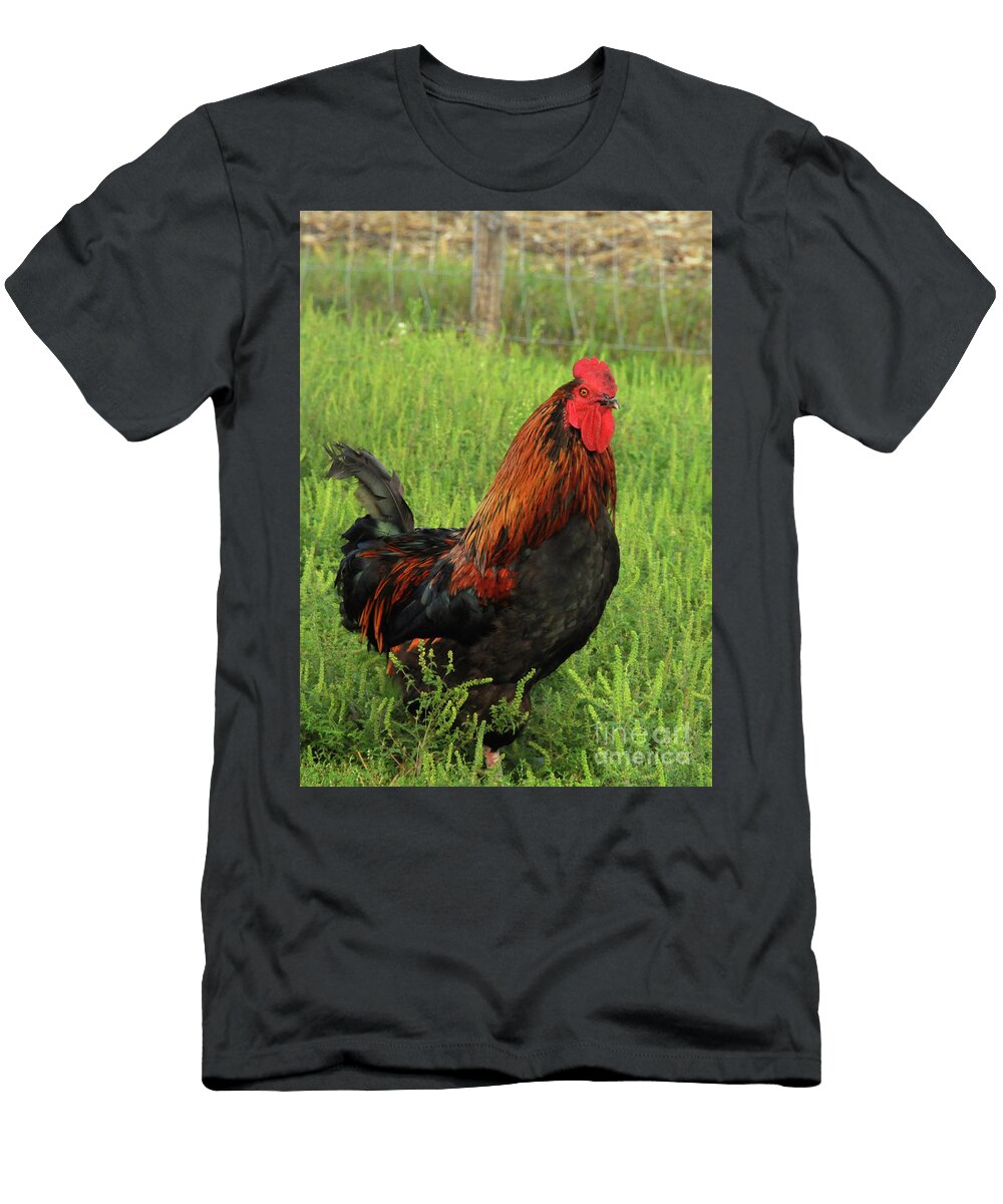 King of the Flock Lana Raffensperger T-Shirt