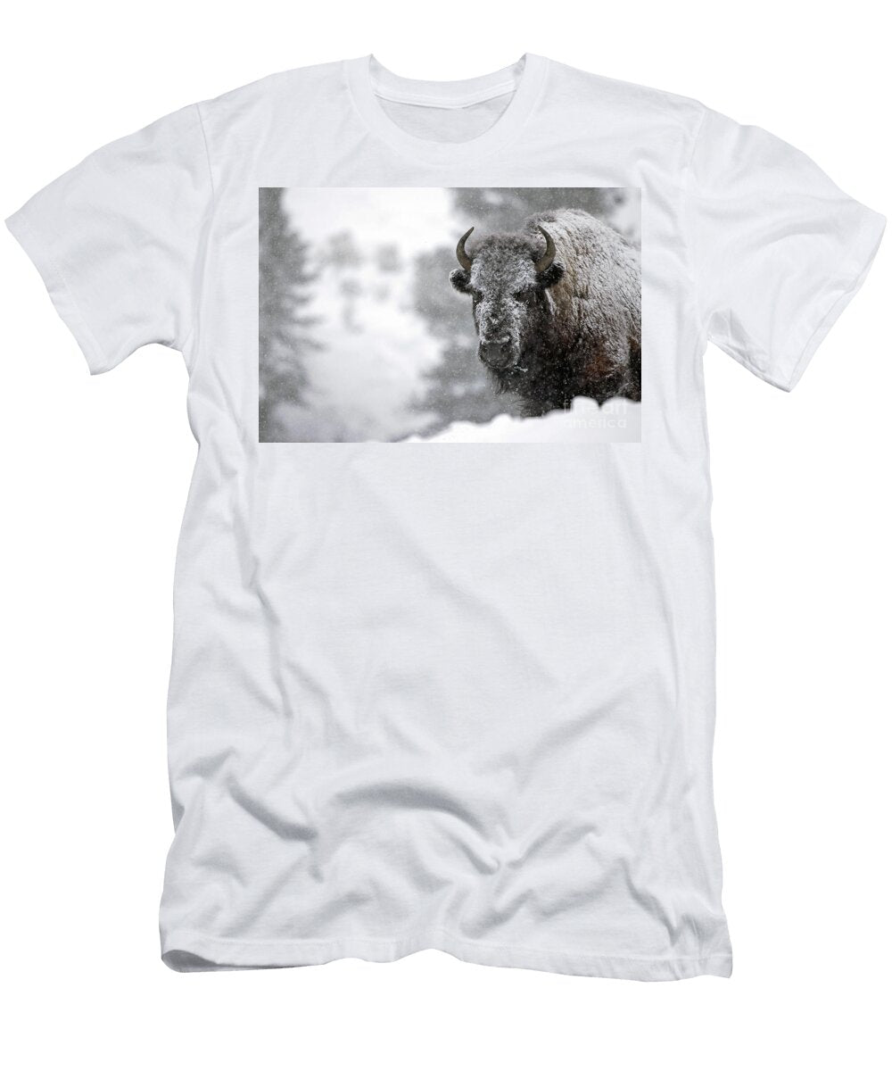 Kings View Julie Argyle T-Shirt