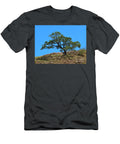 Koa with a Veiw Cat Pancake T-Shirt
