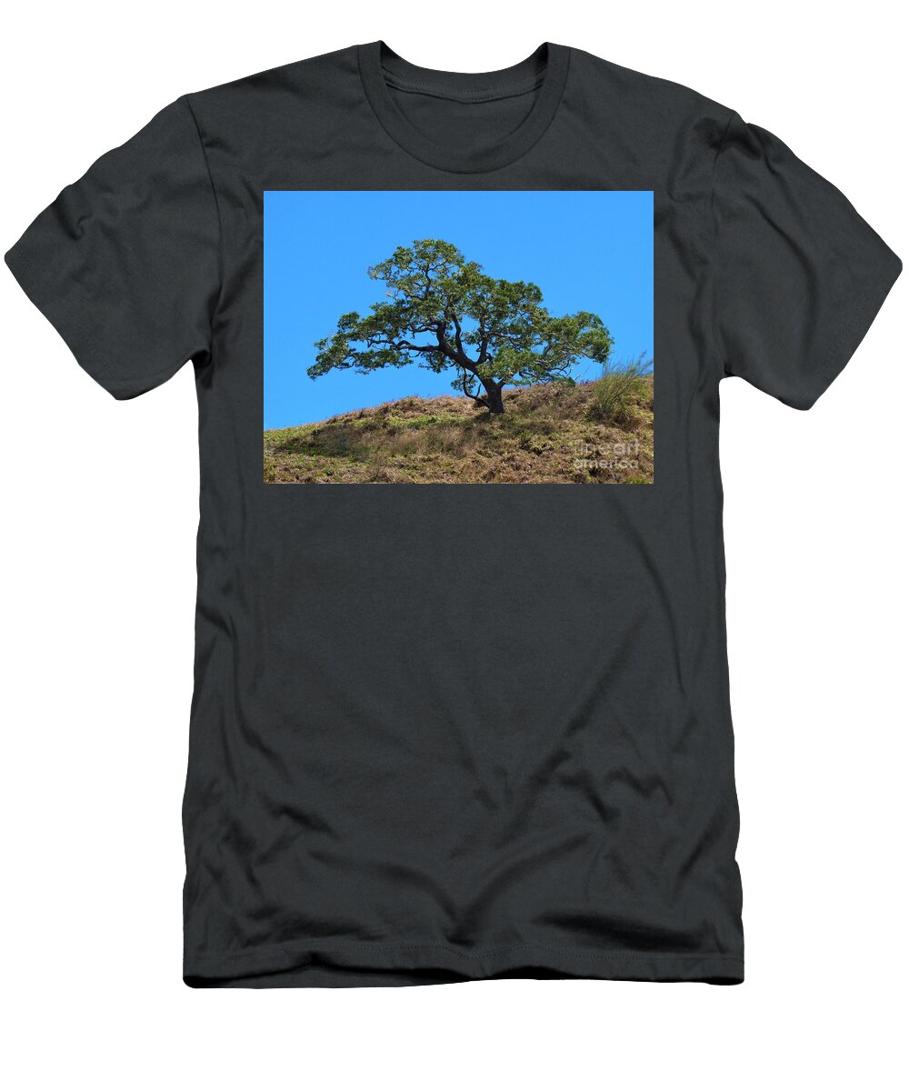 Koa with a Veiw Cat Pancake T-Shirt