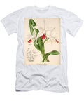 Laelia Elegans Unknown T-Shirt