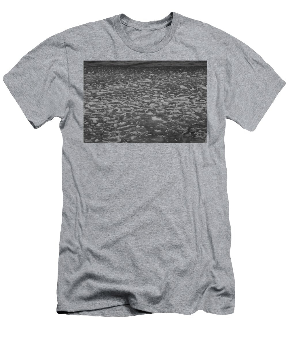 Lake Ice Two Bridges North T-Shirt