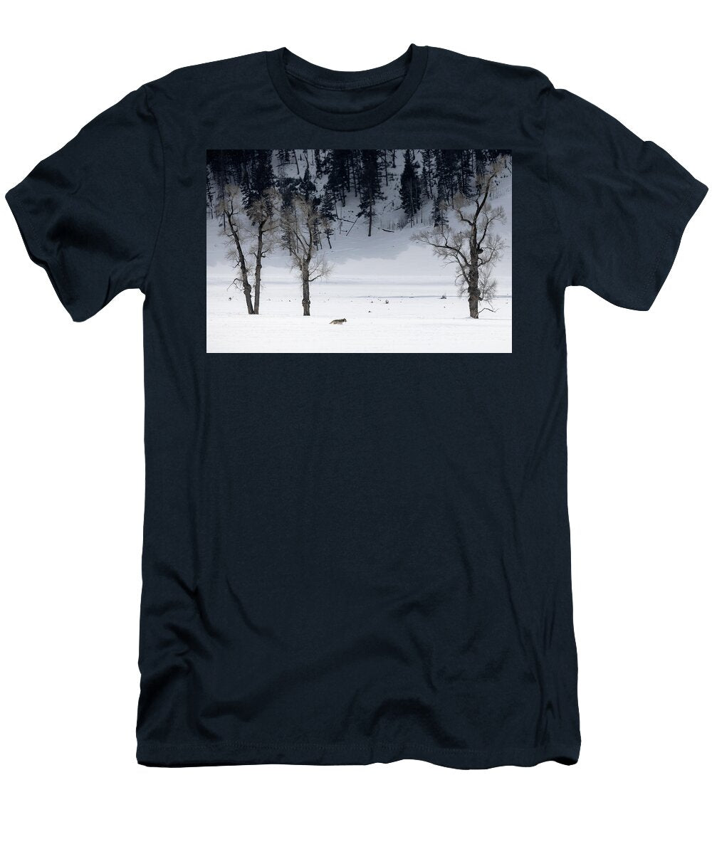 Lamar Valley Wolf Julie Argyle T-Shirt